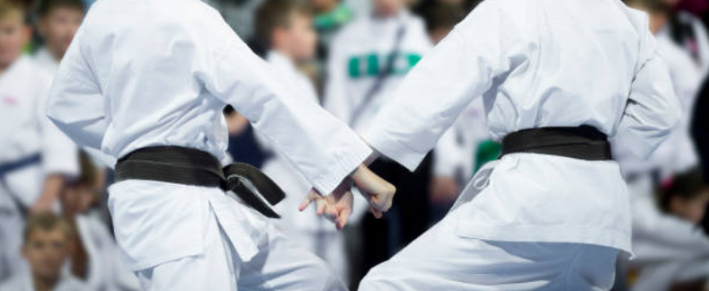 Historia de la Federación Española de Karate