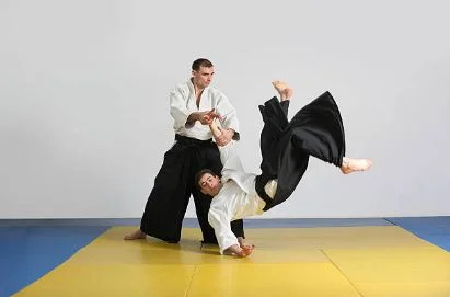 Steven Seagal, especialista en artes marciales