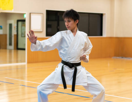Cuántos estilos de karate existen
