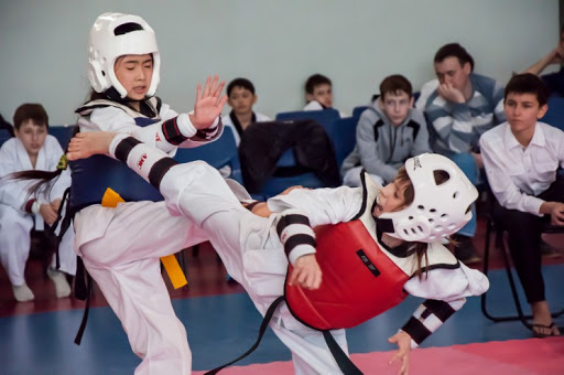 Las diferencias entre karate y taekwondo