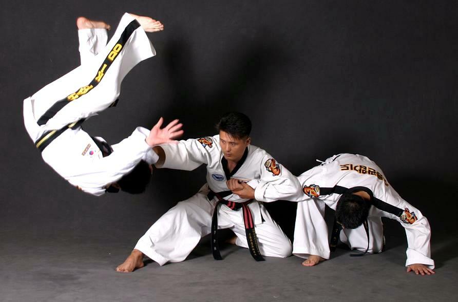 El factor religioso y los valores de las artes marciales coreanas
