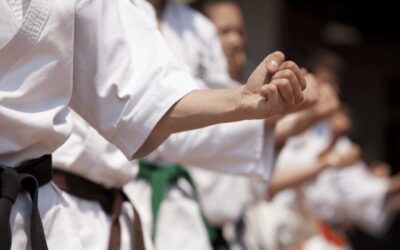 Tipos de fuerza más utilizados en las artes marciales